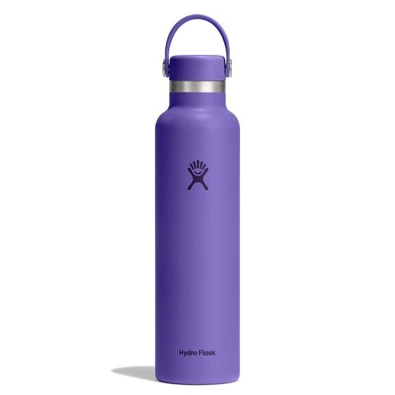 Purple Hydro Flask water bottle with matte finish, stainless steel band, matching cap with flexible carry handle, and Hydro Flask logo. Sleek cylindrical design.